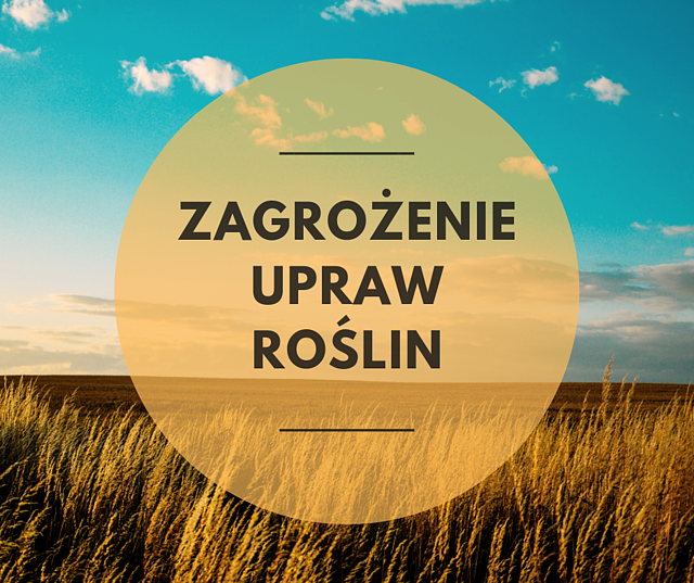 Komunikat o zagrożeniu upraw roślin