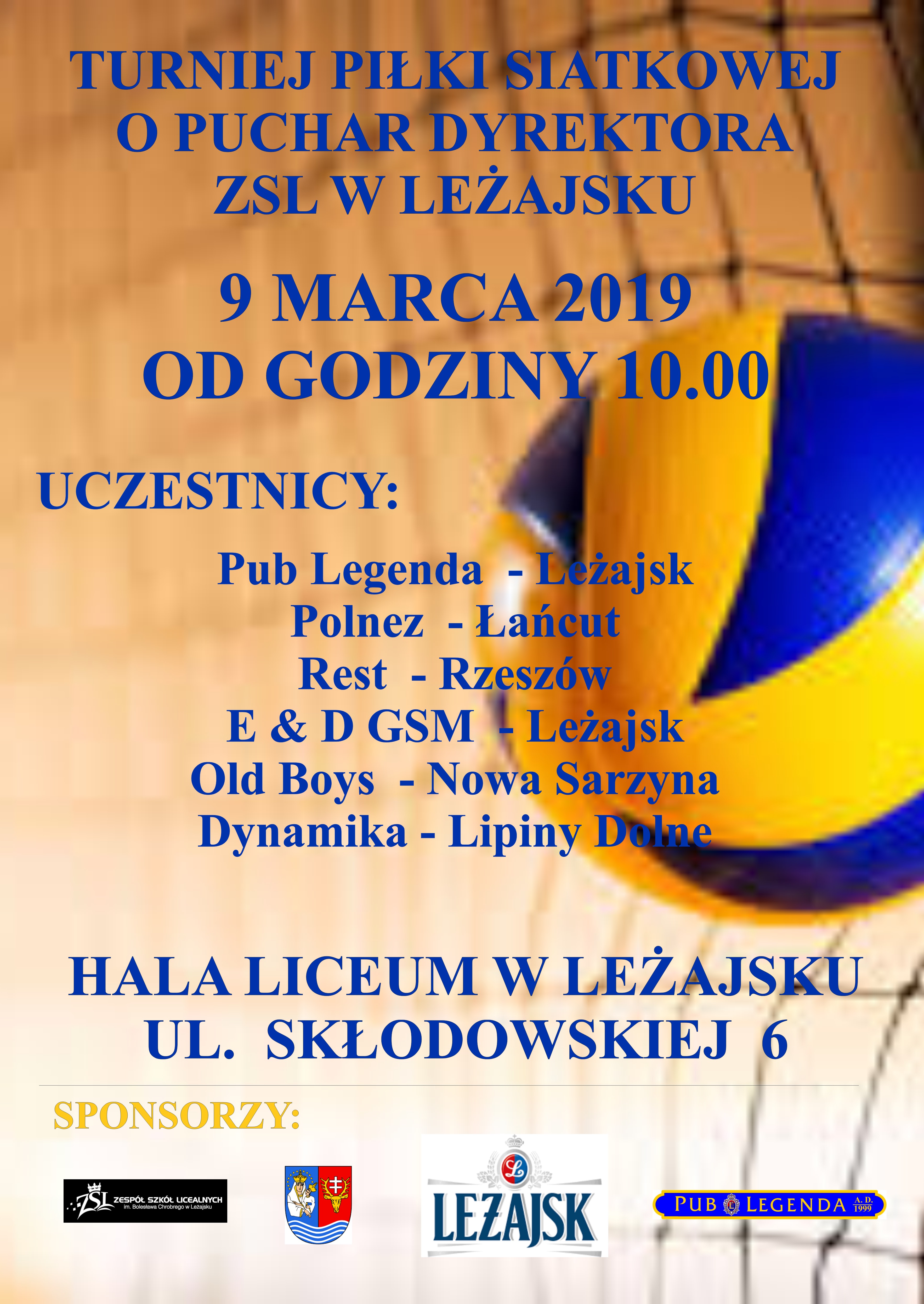 Turniej Piłki Siatkowej o Puchar Dyrektora ZSL w Leżajsku
