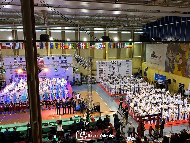 Puchar Europy World Kyokushin Budokai