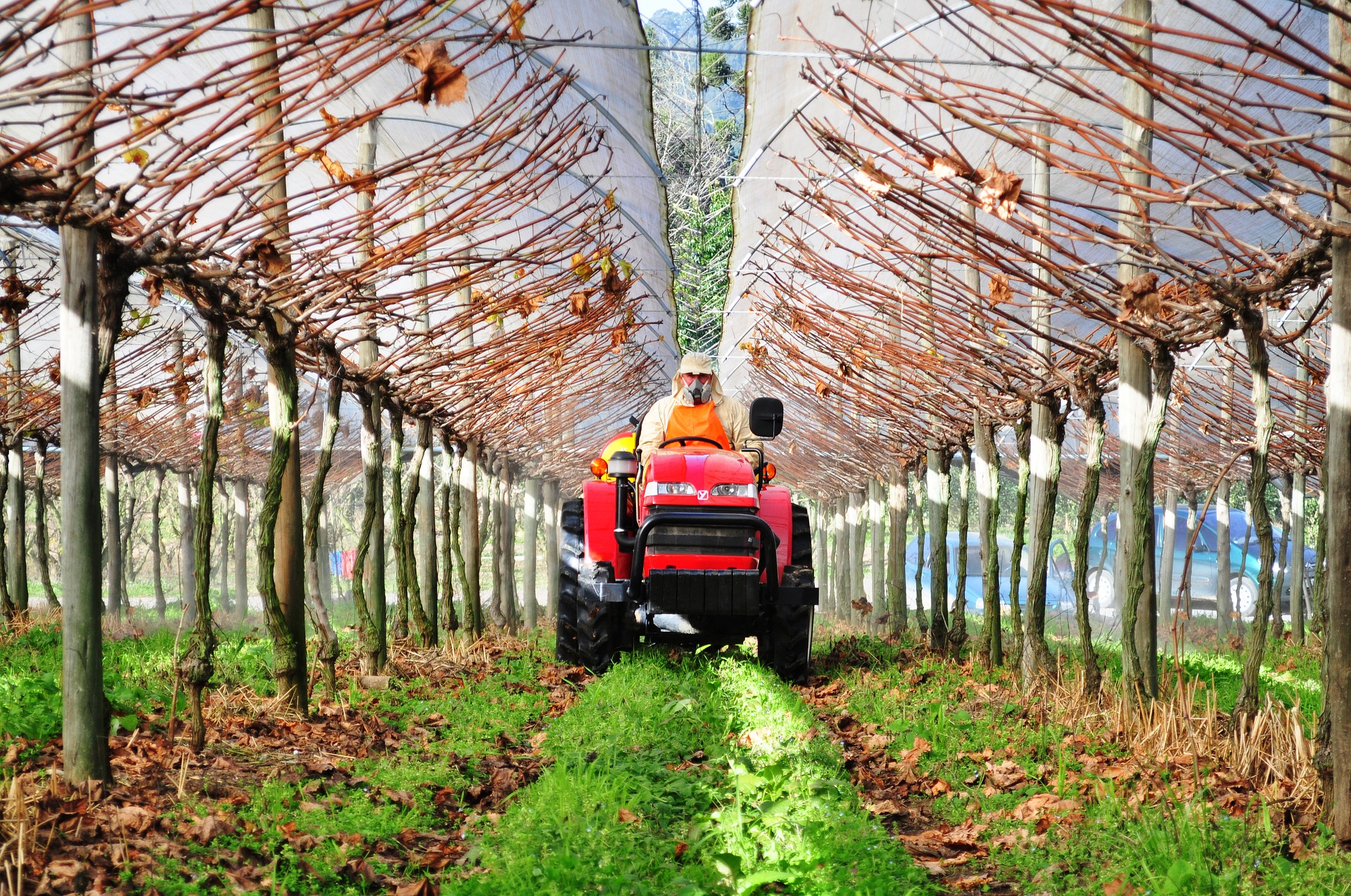 Ruszył konkurs Szybka ścieżka „Agrotech”