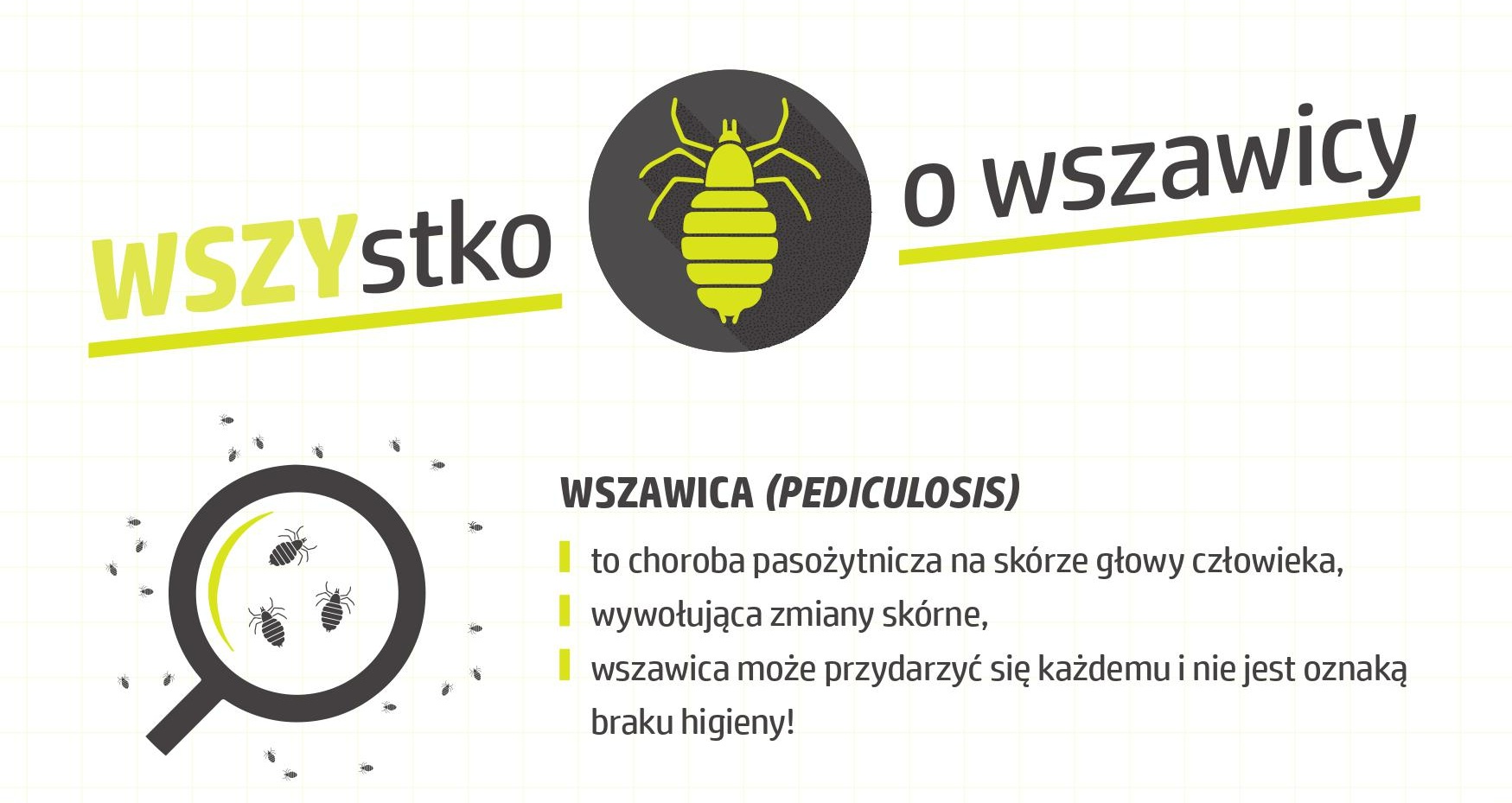 Wszawica to nie wstyd – zadbaj o dobre nawyki higieniczne