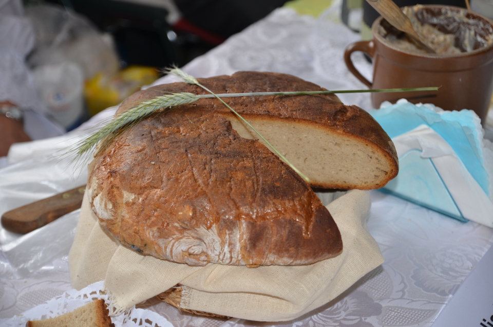 XIV Targi Żywności Tradycyjnej „Festiwal Podkarpackich Smaków” w Sokołowie Małopolskim