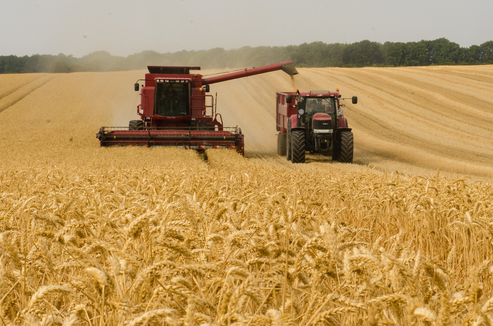 Zagłosuj na gospodarstwo z powiatu leżajskiego w konkursie internetowym „Bezpieczne Gospodarstwo Rolne 2022”